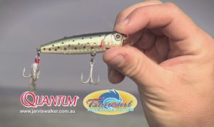 VIDEO: How To Series 2 – Popper retrieves